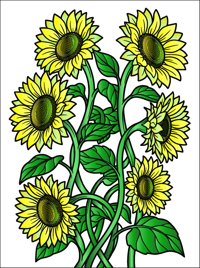 Sunflower Swirl from Petals & Patterns: A Floral Coloring Book for Adults, colored by a ColoringBits reader