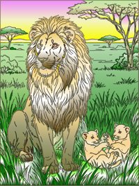 Savanna Lion from Wild Cats from Jungles to Mountains Coloring Book, colored by a ColoringBits reader