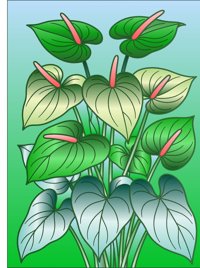 Anthurium Shade from Tropical Flowers Coloring Book, colored by a ColoringBits reader