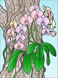 Rainforest Orchids from Tropical Flowers Coloring Book, colored by a ColoringBits reader