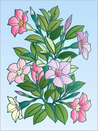 Mandevilla Vine from Tropical Flowers Coloring Book, colored by a ColoringBits reader