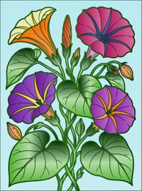 Moonflower from Tropical Flowers Coloring Book, colored by a ColoringBits reader