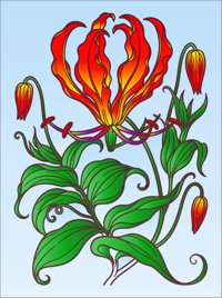 Flame Lily from Tropical Flowers Coloring Book, colored by a ColoringBits reader