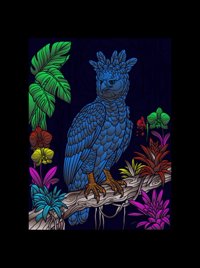 Harpy Eagle from Forest Birds Coloring Book, colored by a ColoringBits reader