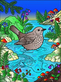 Stream Bath from Forest Birds Coloring Book, colored by a ColoringBits reader